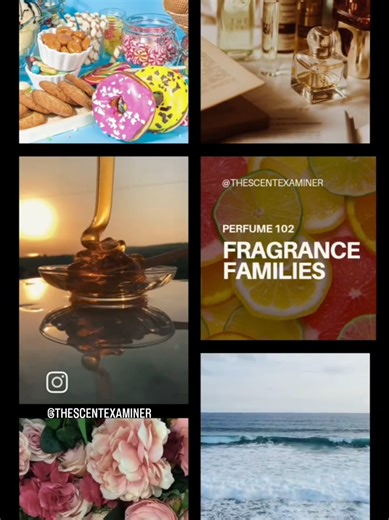 Understanding fragrance families is one of the first steps to choosing your signature scent profile! Based on the descriptions, which fragrance family do you resonate with? #perfumeeducation #fragrancefamilies #perfumetok #fragrancetok #scentprofile