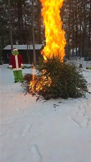Christmas Tree on Fire! #fire #christmastree #besafe #thegrinch #thegrinchwhostolechristmas