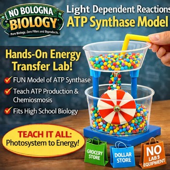 5.3 Light Dependent Photosynthesis Budget Model Kitchen Sink Lab