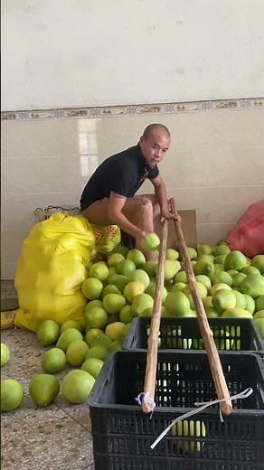 🥭 Classifying Fruit Sizes Using Two Wooden Bars