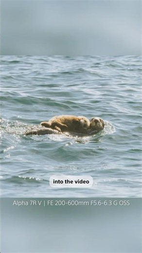 Wildlife Photography Tips With Hannah Rheaume