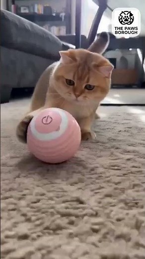 Cat Interactive Ball Smart Cat Toys Indoor Automatic Rolling Magic Ball Electronic Interactive Ca...
