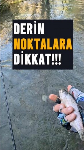 In deep spots, wait for the mepps to sink to the bottom, or use a savage gear 3D vibration bait.🙏