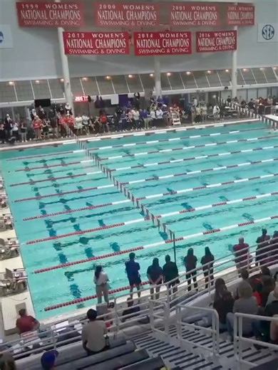 2.9K views · 24 reactions | Florida Gators Swimming & Diving on Reels | Facebook