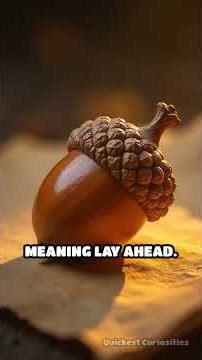 Secrets Inside Ancient #SecretCodes #HistoryMystery #HiddenMessages #Manuscripts #Symbolism