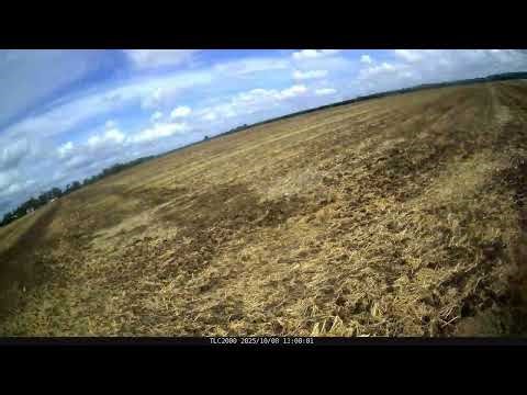 Rice Mode Farm Timelapse | September 2 to October 14, 2025