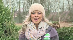 3.5K views · 44 reactions | Campo Christmas Tree Farms has served Shelby Township at the corner of 21 Mile Road and Schoenherr for 31 years. Let's learn a little more about this family-owned business. | Shelby TV | Facebook