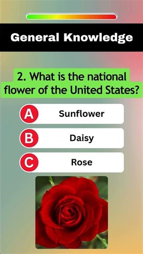 Quick General Knowledge Quiz! 😱 #quiz #generalknowledge