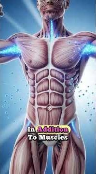 Protein Powder: Real Benefits & Potential Risks Explained in 3D Anatomical Visualization