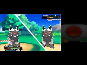 Pokémon Omega Ruby [Part 2: The Wild Pokémon of Hoenn] (No Commentary)