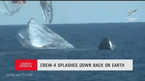 WELCOME HOME 💙🌎 Four astronauts splashed down off Florida's Atlantic coast on Friday after spending nearly 6 months in space. https://bit.ly/3T43yk1 | WFLA News Channel 8