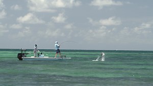 Our next generation answer to saltwater fly fishing. | Sage Fly Fishing
