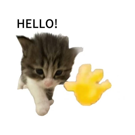 First-Person Cat Petting Adventure: A Purr-Fect Greeting