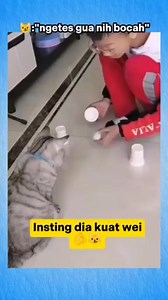 1.8M views · 10K reactions | Kajon Setiapano on Reels | Facebook