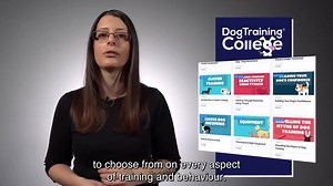 7.2K views · 40 reactions | Looking to transform your dog training and behaviour knowledge?  Unlock 100+ accredited courses with our new ALL-ACCESS monthly membership. Start your journey today and learn from the world's best dog experts! :-) | Dog Training College | Facebook
