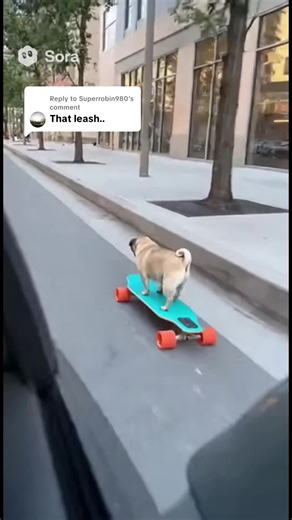 Replying to @Superrobin980 no butt leash #sora #foryou #ai #pug #dog | dog