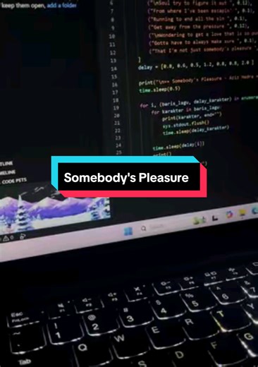 Somebody's Pleasure #somebodypleasure #galau #coding #fyp #python