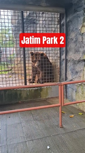 Jatim Park 2, Batu Malang #jatimpark2 #jatimpark #batu #malang