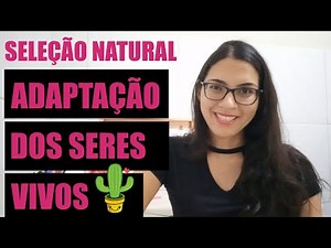Biologia | Seleção Natural: 6 exemplos de adaptações dos seres vivos.