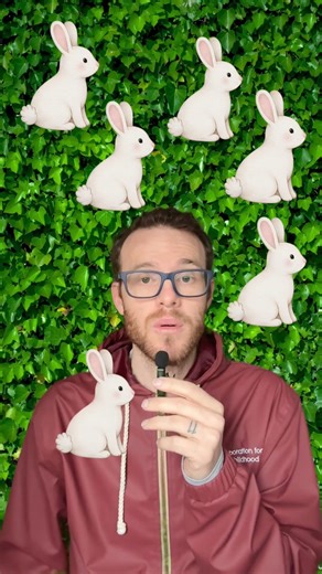 Thematic Learning vs. Conceptual Learning