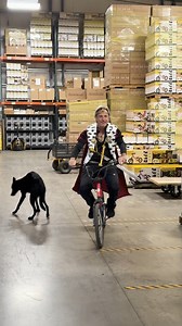 7K views · 64 reactions | Happy Halloween from the entire Strider team!  We hope your night is filled with spooky strides, epic costumes, and plenty of treats! | Strider Bikes | Facebook