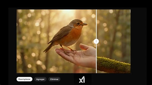 Grok Imagine API: xAI lanza generación de video profesional