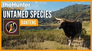 Get ready for an exciting Banteng hunt in Emerald Coast Australia! 🐂 Flinter has some highlights and tips for you in the second video of the Untamed Species series 🎯 | TheHunter: Call of the Wild