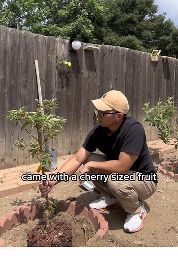 If you name the bar, I’ll send you a crabapple #crabapple | Crab Apples