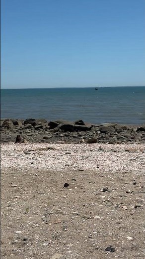 Find a shore before summer’s gone! #longislandsound #beach