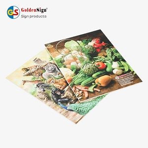 [Hot Item] Premiumpvc Foam Board for Creative Projects and Signage Colored and White