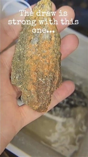 [FINALIZATION] DRAW 0.6 // SPECIMEN 6 SECURED