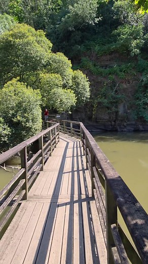 Coin secret en Vendée : passerelle, sentiers et biodiversité
