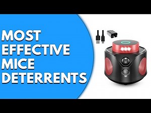 The Most Effective Mice Deterrents: Homemade Mice Repellents to Keep Mice Away Naturally