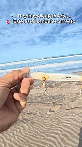 Este señuelo es perfecto cuando… Hay fuerte oleaje 🌊🎣 Rapala Magnum Cast 42g | Pesca Poker