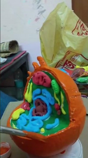 creating models or diagrams of the cell's nucleus for educational purposes // Cell Nucleus craft