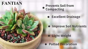 FANTIAN 5 lbs Red Lava Rocks for Plants,1/4 Inch Crush Volcanic Rock Gravel Potting Mix for Succulent Cactus Bonsai Aquarium Fire Pits and Garden Landscaping