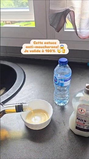 comment se débarrasser des moucherons #trucsetastuces #diy #astuce #diyfrance #bricolage #bricoleuse