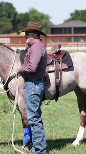 In this short tip, Clinton shares how you can use the mecate bridle to do groundwork with your horse. Limited-time special offer: Now through Wednesday, April 23rd, save 10% on all mecate bridle sets. Shop the sale now ➡️ https://shop.downunderhorsemanship.com/?s=mecate #ApplyTheMethod | Downunder Horsemanship