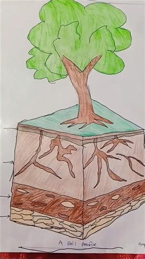 A soil profile pic & hindi poem#video #short #poem