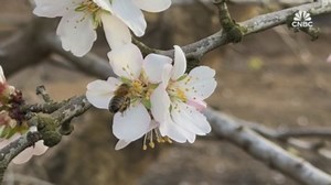 Hi Tech Machines, Low Farm Incomes
