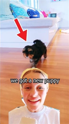 SURPRISED with a New Puppy 🐶 #norrisnuts