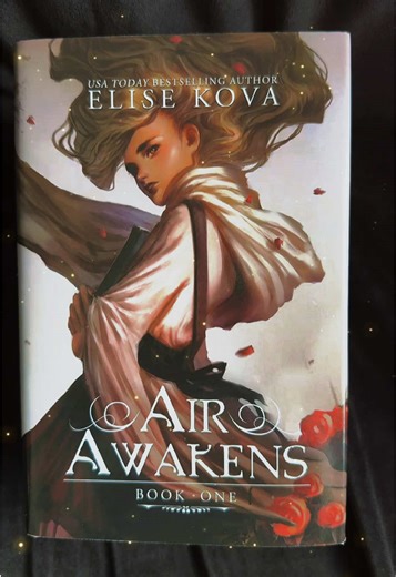Have you read the Air Awakens series by @Elise Kova yet? If not, I highly recommend it! A fantastic YA fantasy with an elemental magic system, royal intrigue and war, enemies-to-lovers, found family, tragic loss, and new beginnings. Read the story of Vhalla and Prince Aldrick. #booktok #airawakensseries #elisekova #fantasy #mustread