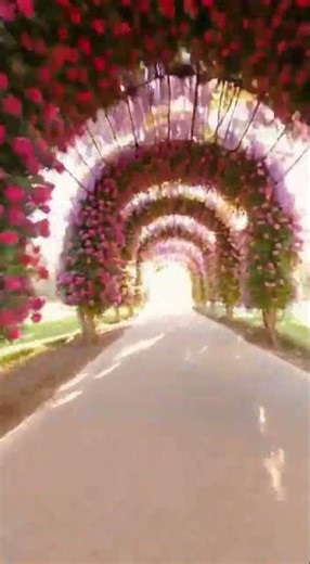 Flower Tunnel Speed Run