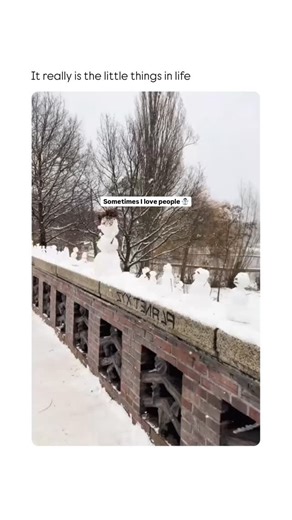 Great British Memes 🇬🇧 on Instagram: "I hope this brings a smile to your face 📹: TT/ @alissa.boening #greatbritishmemes #british #britishmemes"
