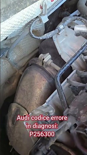 Audi codice errore P256300