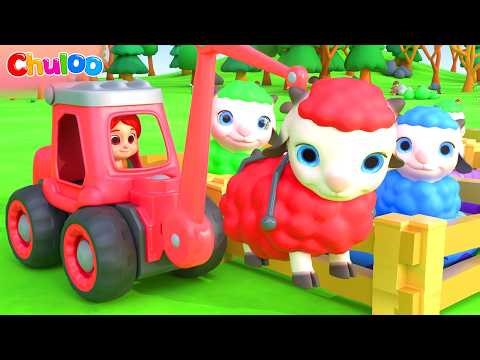 Baa Baa Black Sheep Song | Colorful Sheep Song | ChuLoo Nursery Rhymes & Kids Songs
