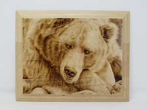 Grizzly Bear Wood Burning Art – 10x8 Original Pyrography on Basswood – Wildlife Wall Decor – Rustic Cabin or Lodge Artwork - Etsy