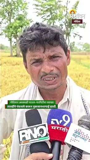 GONDIA: गोंदियात अवकाळी पाऊस-गारपिटीचा तडाखा! | धान पिकांचे मोठे नुकसान | Agrowon
