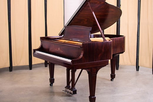 1917 Steinway Model O Grand Piano | Brazilian Rosewood - Restored