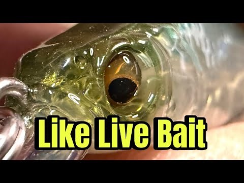 Megabass Releases New Lure…And It’s AWESOME…